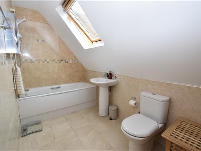 Picture 16